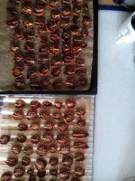 IMG_20160820_164256.jpg