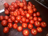 IMG_20160907_004111.jpg