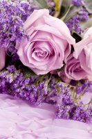 25302410-beautiful-lavander-and-pink-rose-on-bright-background-Stock-Photo.jpg