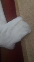 20160128_173309!!!.jpg