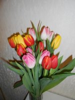 DSCN3711.JPG