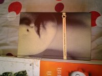 WP_20160818_003.jpg