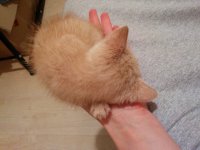 IMG_20160921_211343.jpg