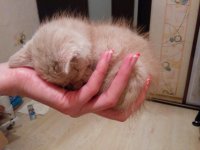 IMG_20160921_205805.jpg