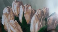 20160913_111319.jpg