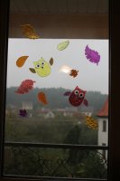 IMG_6830.JPG