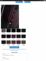 IMG_4106.PNG