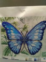 IMG_20161015_165026.jpg