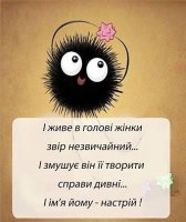 image[3].jpg