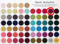 darkautumn.png