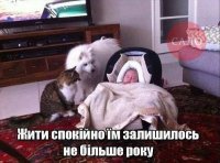 image9MM9E8KB.jpg