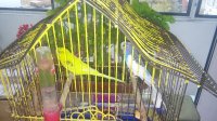 20161029_153053.jpg