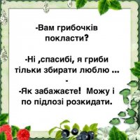 imageZRTZGHF9.jpg
