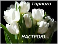 image-4e8da0ac6f0db343d3623b8571f2f4f6a017fd39d51f226a3baee4e041e2bca0-V.jpg