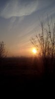 IMG_20161028_080206.jpg