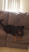 20160226_091753.jpg