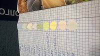 WP_20160615_001.jpg