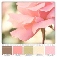 80fd71807bef229b50f2d17db5827d46.jpg