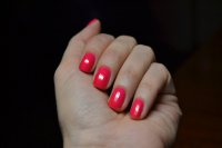 DSC_0164.JPG