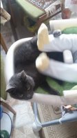 20161207_104927.jpg
