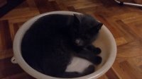 20161122_194604.jpg