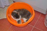 DSC_0114.JPG