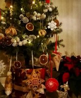 IMG_20161219_210932[1].jpg
