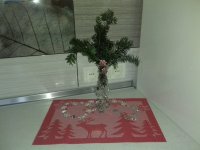 20161219_133236.jpg