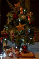 DSC_1081.JPG