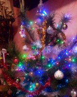 IMG_20161229_183902_074.jpg
