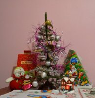 DSC_0009.JPG