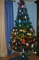 DSC_6243.JPG