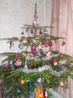DSCN2842.jpg