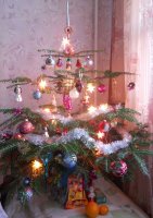 DSCN2846.jpg