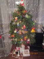 IMG_3404.JPG