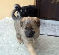 20170112_130040.jpg