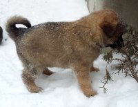20170112_125738.jpg