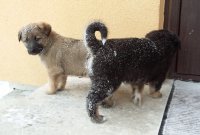 20170112_130037.jpg