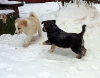 20170112_125740.jpg