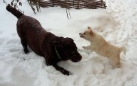 20170112_130322.jpg