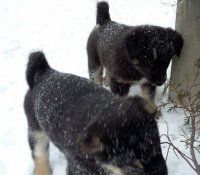 20170112_125821.jpg
