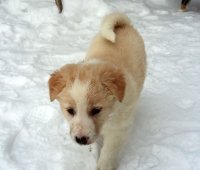20170112_125742.jpg