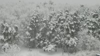 DSCN0335.JPG