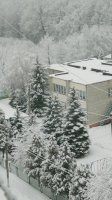 DSCN0330.JPG