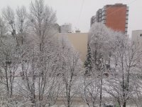 20170114_114522.jpg