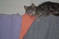 DSC_0039.JPG