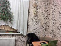 IMG_20160102_191120.jpg