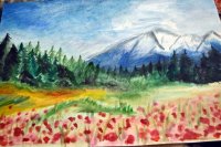 DSC_0429.JPG