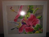IMG_20170207_132649.jpg