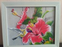 IMG_20170207_132639.jpg